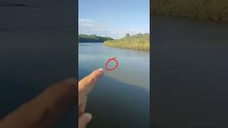 Тест приманки UF Studio Buzzet Bullet #Test #UFStudio #Buzzet #Bullet #fishing #spinning
