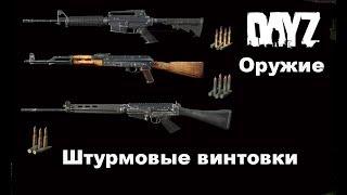 DayZ. Оружие. Штурмовые винтовки.