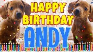 Happy Birthday Andy! ( Funny Talking Dogs ) What Is Free On My Birthday