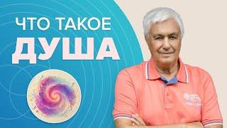 Что такое душа человека? Уровни развития души: Как узнать, чего хочет душа