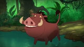 Timon & Pumbaa - Safety Smart - In The Water