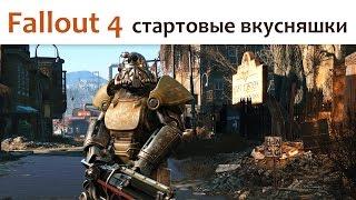 Fallout 4 (стартовые вкусняшки)