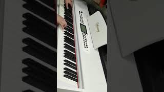 Harmony elektro piano 88Klaviatura tam aktava həcmində Rast musiqi alətləri mağazasında.