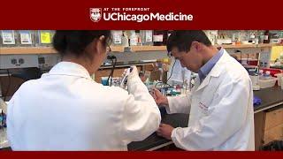 The University of Chicago Medicine Digestive Diseases Center