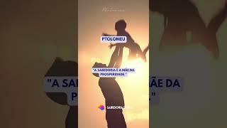 Sabedoria Diária | Pensadores #shorts #reflexões #proverbios #sucesso #saude #saudemental