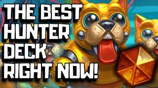 Egg Token Hunter Is The Best Hunter Deck In Hearthstone Right Now!