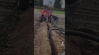 "Field Transformation: Trenching and Laying Drain Tile for Blueberry Bliss!" #Douglaslawncare