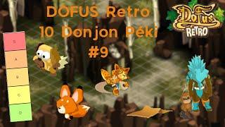 Dofus Rétro, 10 DONJONS PEKI, Ça Donne Quoi ?? + TIER List !!! #9