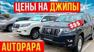 Обзор ЦЕН на ДЖИПЫ в Грузии. AUTOPAPA