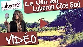 Le vin en Luberon Côté Sud