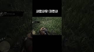 ???:사람 둘이 절벽에 떨어졌어요