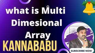 Multi Dimensional Array in C#.net