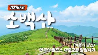 기차 타고 90분에 만나는 알프스 풍경 당일치기 - 단양 마늘 순대