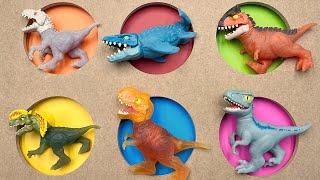 6 Dinosaur Punch Box | T-Rex Mosasaurus Velociraptor Blue