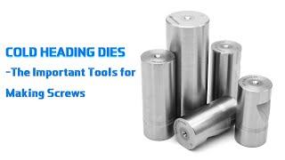 Cold Heading Dies——The Important Tools for Making Screws