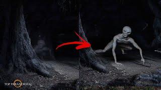 5 Scariest Encounters Caught on Camera Part 6 / Ghosts and Creatures / REAL TERROR 2024