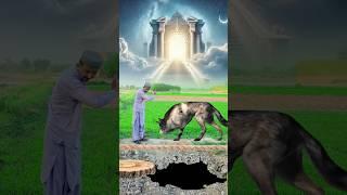 Bakra lari is very big ||#bakramandi #bakraeid2025 #badobadi