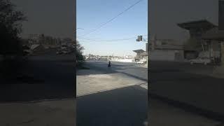 Баха