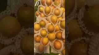 GWAVA MOST SOUR FRUITS #fruit #shortvideo