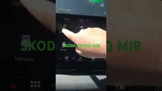 Main Menu Guide: SKODA Enyaq - Full Menu & Hidden Features