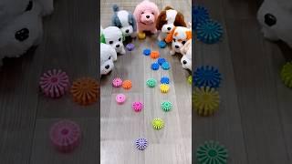 Funny dog video ‍ Satisfying Reverse ASMR soud  #funydogvideo #youtubeshorts #satisfyingvideo