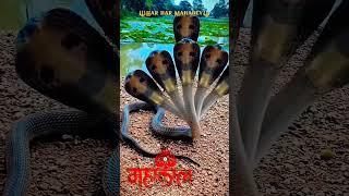 5 August 2024 video