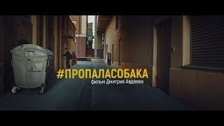 Пропала Собака (Официальное видео)