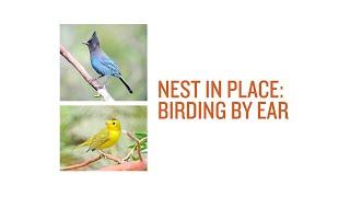 Nest in Place: Birding by Ear