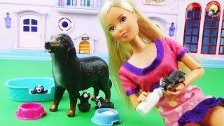 Кукла Штеффи и ее верная собака с щенками Игровой набор / Doll, dogs, puppies