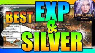 West Valencia Analysis, Best Experience & Silver by location, Black Desert Mobile