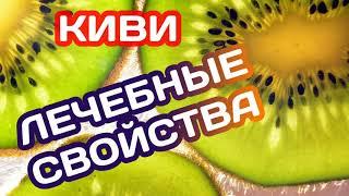 ЛЕЧЕБНЫЕ СВОЙСТВА КИВИ. ПРОТИВОПОКАЗАНИЯ.