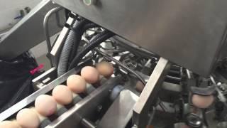 Egg Cracking Machine