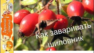 Как правильно заваривать шиповник /Два способа