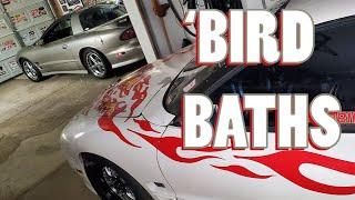 Freaky Fast Firebird Freshening...Bird Baths...Turbo Mode LOL