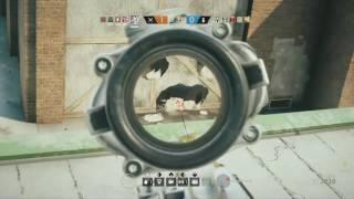 Rainbow six funny moments