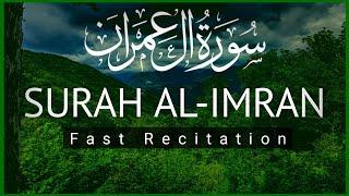 Surah Al-Imran Most Beautiful Recitation | Fast And Speedy Recitation | Lofi Quran | Al Quran