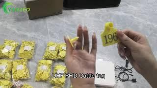 UHF RFID Animals Tags