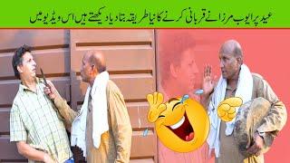 EID Ulezha pr Qubani Kaisy Karni ha Ayub Mirza ne Zafar Khan Ko Bata Diya Video viral