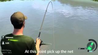 Dovetail Games Fishing Gameplay Phase 6 - How to Net a Fish