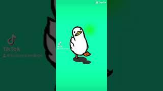 Duckster
