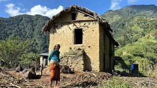 Beautiful Nepali Mountain Village I|Natural Rural Life in Rain Season | TheVillageNepal