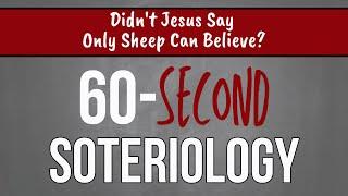 60-Second Soteriology: Didn't Jesus Say Only Sheep Can Believe?