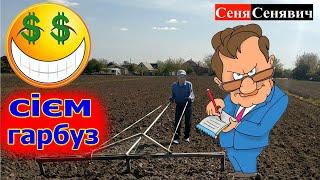 Садим гарбуз вручну у 2024 році, міжрядка, рядка, норма висіву... та вже думаєм про гарбузову сіялку