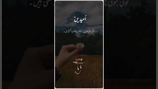 umeedain#urdupoetry #foryou #ytshorts #status #whatsappstatus