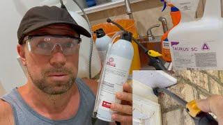 This DIY Termite Treatment Cost Me Less Than $165 and Can Get Rid of Termites Forever!