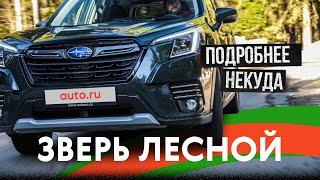 ИДЕАЛЬНЫЙ кроссовер? Всё про обновленный Subaru Forester