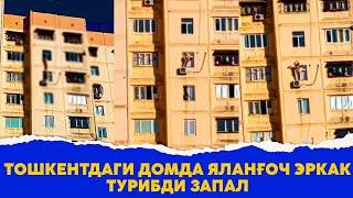 Нимаси бу Домда эркак турибди запал