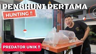 HUNTING !!! IKAN PREDATOR UNIK DAN LANGKA UNTUK MARKAS @JAMMVLOG