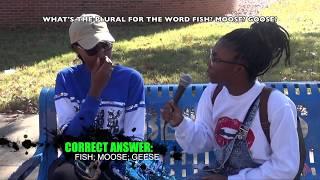 #QUESTIONS : BEARCAT EDITION @ RUST COLLEGE