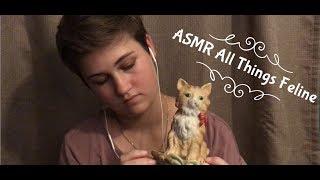 ASMR All Things Feline